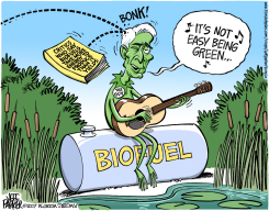 LOCAL FL ITS NOT EASY BEING GREEN  by Jeff Parker