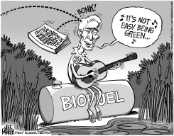 LOCAL FL ITS NOT EASY BEING GREEN by Jeff Parker