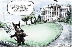 RESIGNATIONS by Joe Heller