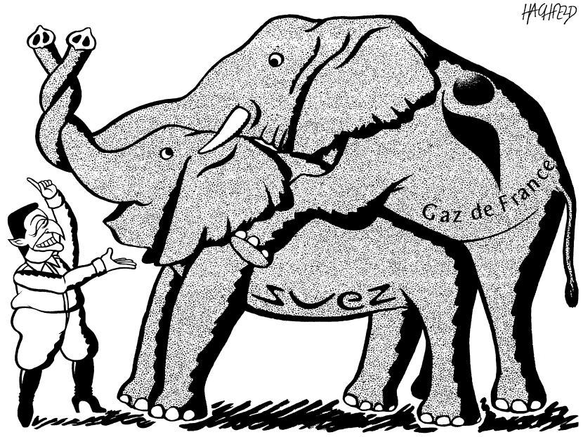elephant wedding