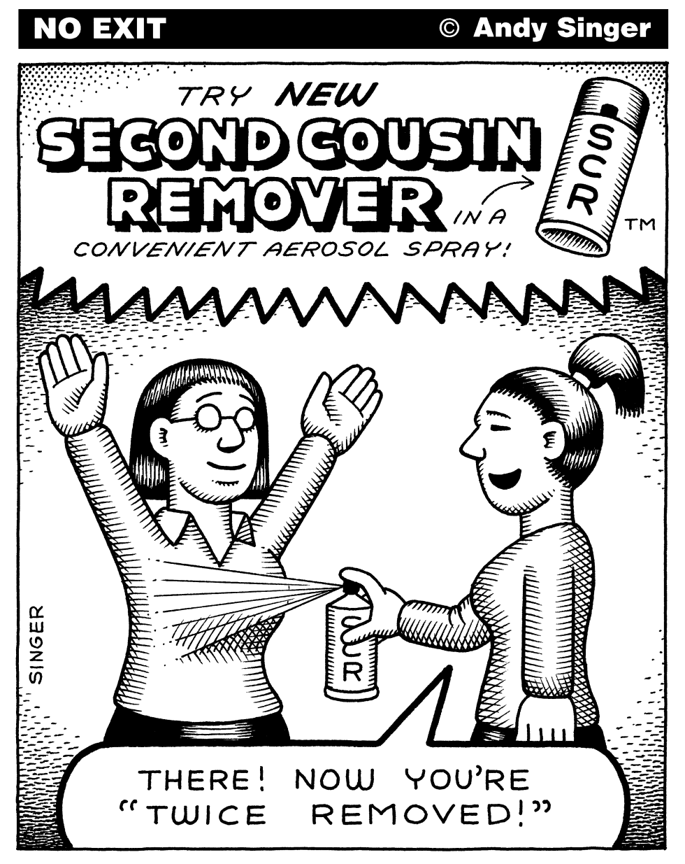 Second Cousin Remover