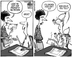 LOCAL FL CHICKEN FEED by Jeff Parker