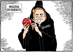 EL PLAN DE SALUD DE HILLARY CLINTON / by Bob Englehart
