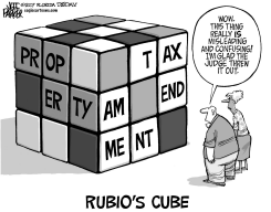 LOCAL FL RUBIOS CUBE by Jeff Parker