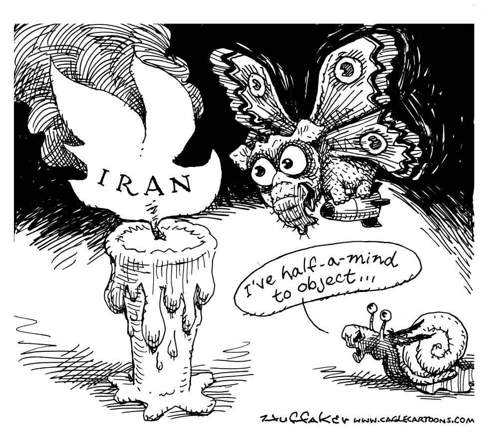 Iran Moth