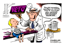 BUSH SCHIP VETO   by Jimmy Margulies