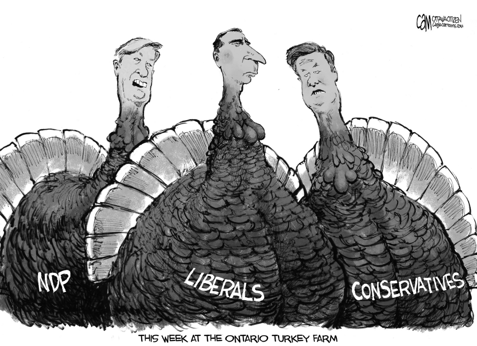 CANADA Turkeys