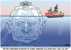 BUSH ICE CAP by R.J. Matson
