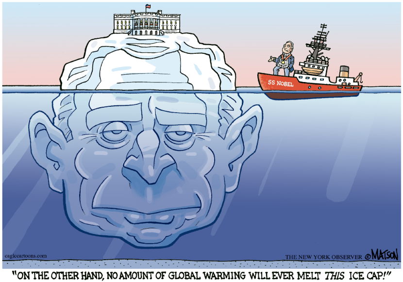Bush Ice Cap-COLOR