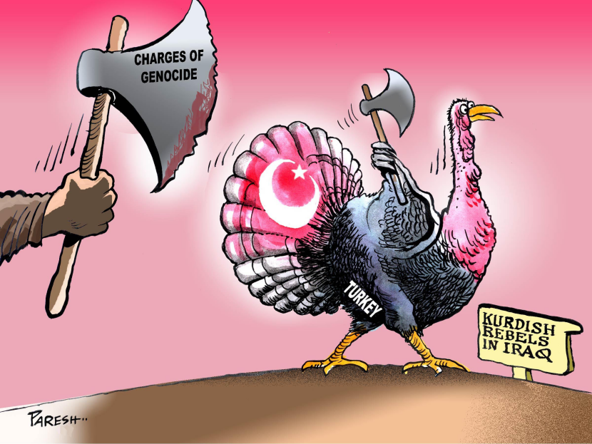 Turkey's adventure