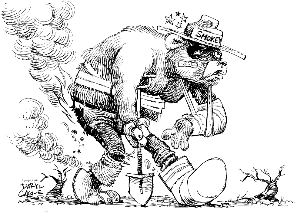 Battered Fire Bear