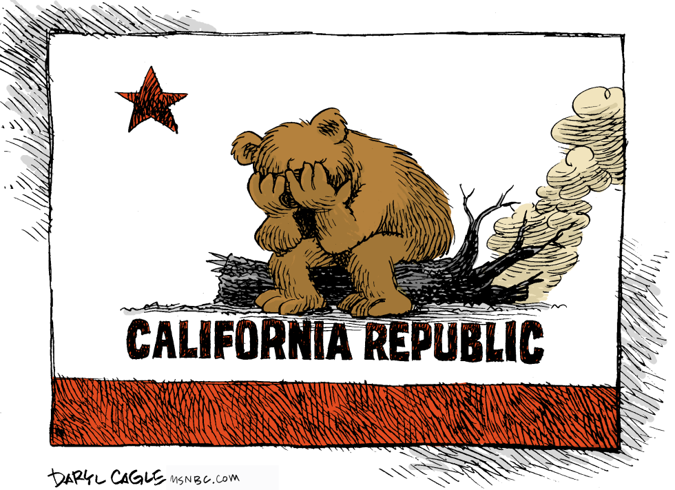 California Fire Bear Grieves Repost