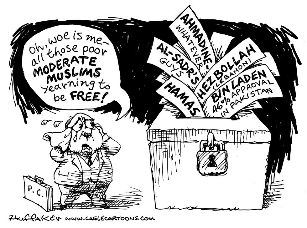 Moderate Muslim Voters