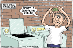 HONEY I SHRUNK THE DOLLAR  by Monte Wolverton
