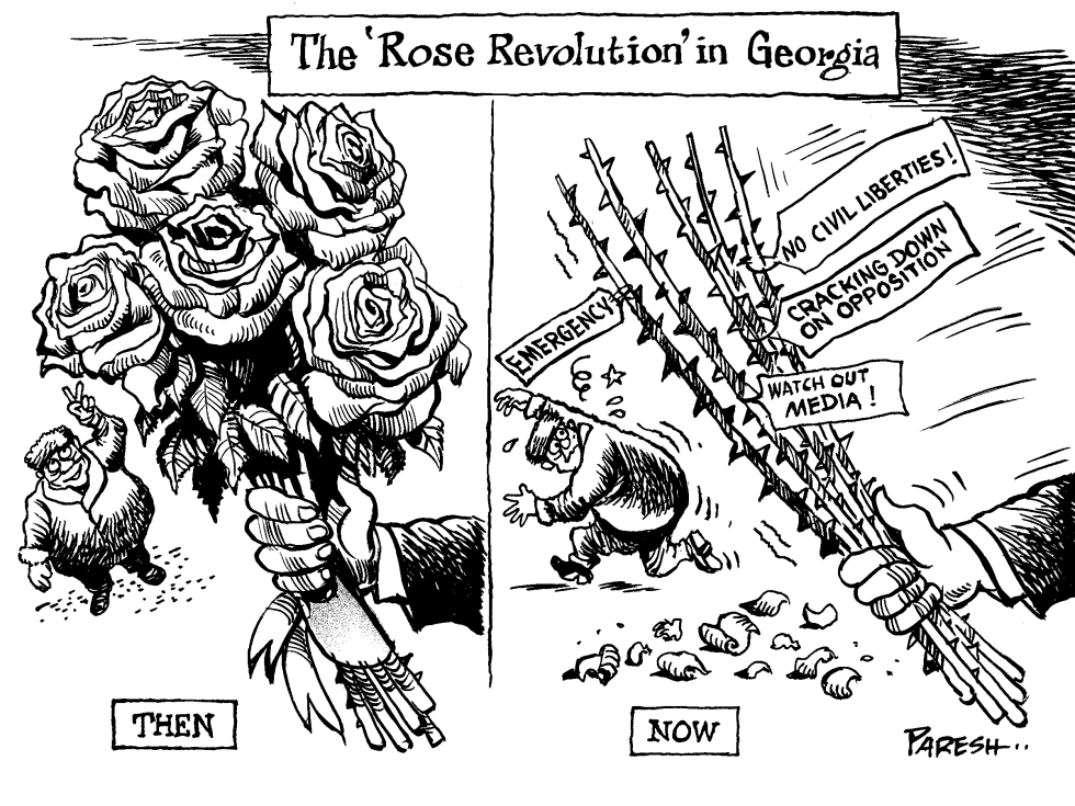  ROSE REVOLUTION IN GEORGIA by Paresh Nath