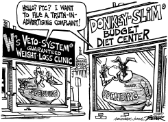 BUDGET BILL VETO by John Trever