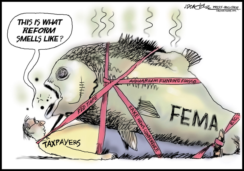 fishy FEMA