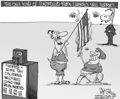 LIBERALS CONTROLLED BURN by Gary McCoy