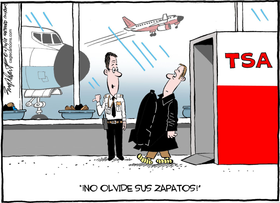 Seguridad en el Aeropuerto / COLOR