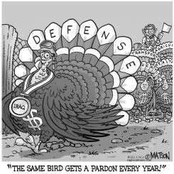 DEFENSE BUDGET PARDON by R.J. Matson