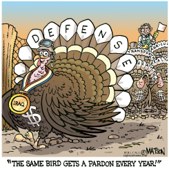 DEFENSE BUDGET PARDON by R.J. Matson