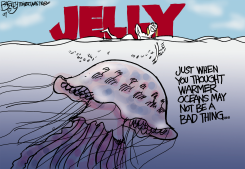 JELLYFISH  by Pat Bagley
