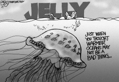 JELLYFISH  by Pat Bagley