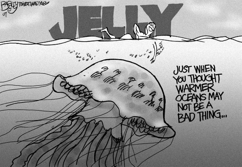 Jellyfish