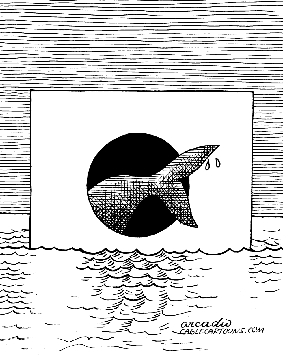 Ballena en peligro por Japón