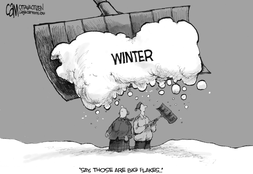 Big Flakes