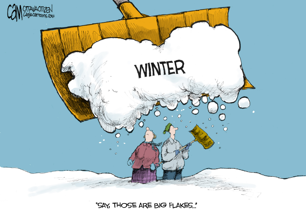 Big Flakes COLOR