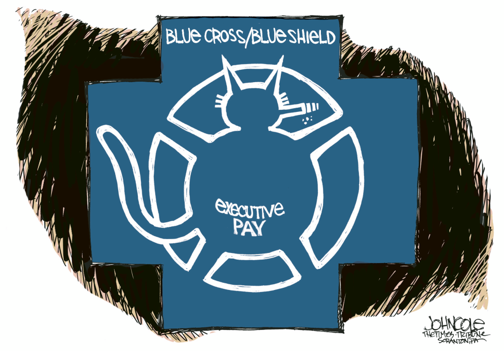 Blue Cross Excecutive pay
