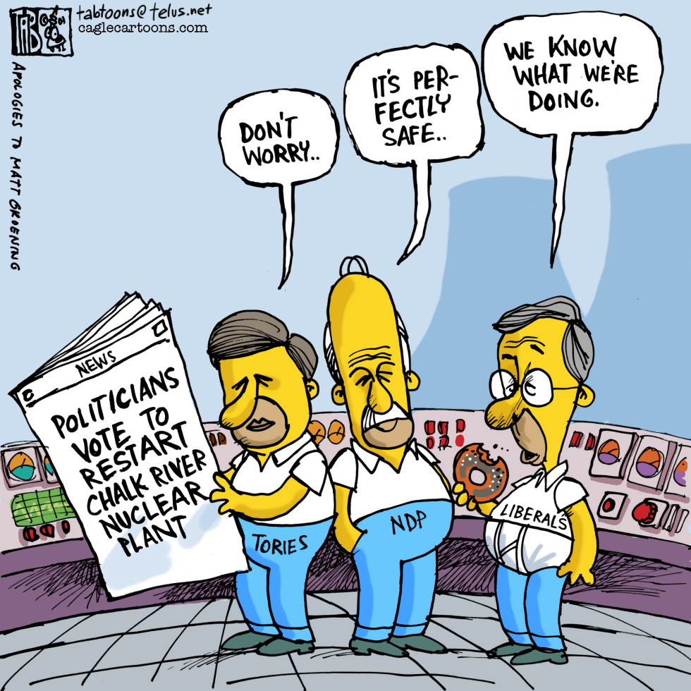 CANADA Homer Simpsons COLOUR