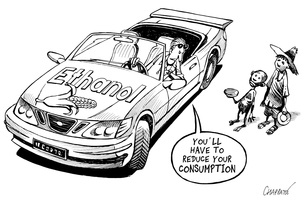 BIOFUELS vs FOOD