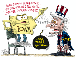 IOWA AND USA VOTERS  by Daryl Cagle