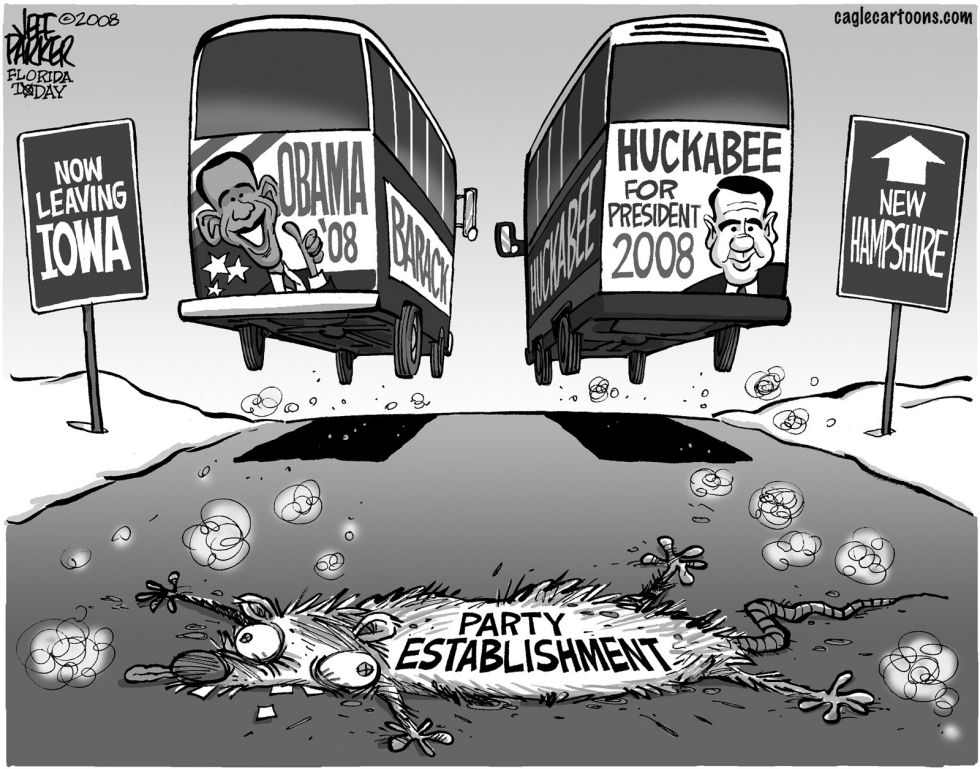 Iowa Roadkill