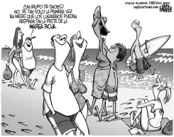 NARICES AL AIRE EN FLORIDA by Jeff Parker