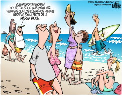 NARICES AL AIRE EN FLORIDA /  by Jeff Parker