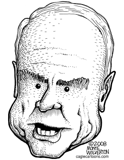 JOHN MCCAIN by Monte Wolverton