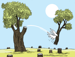 BRANCHING OFF OF THE TREE   by Arcadio Esquivel