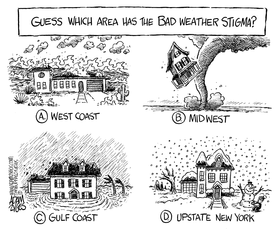 LOCAL NY STATE weather