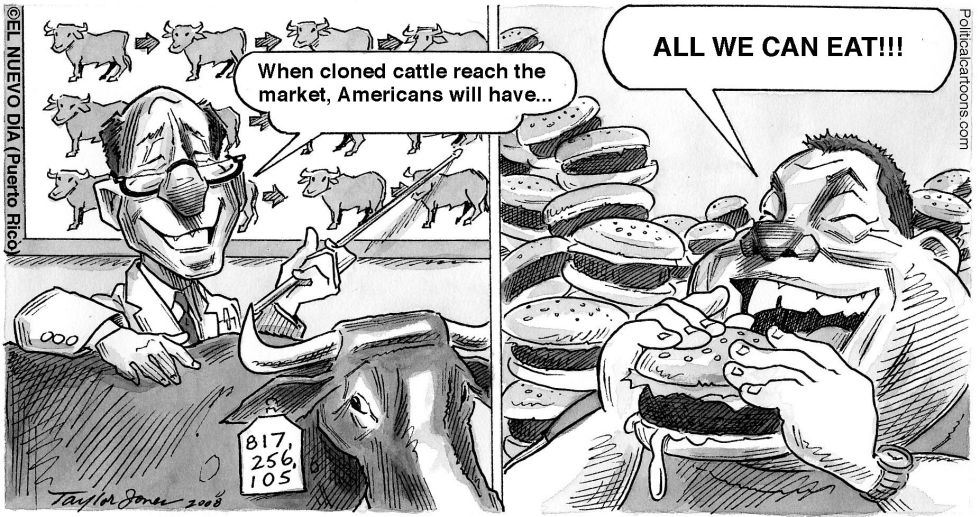 Cloning and Hamburgers