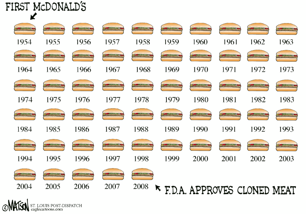 Cloned Meat