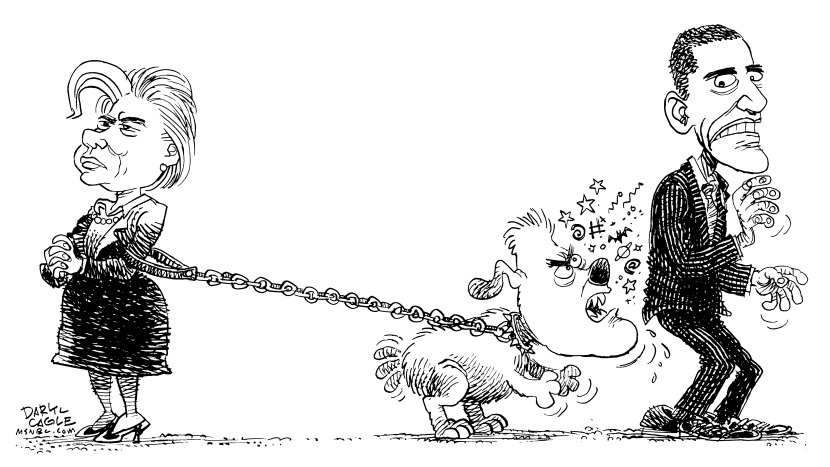 Hillary Attack Dog