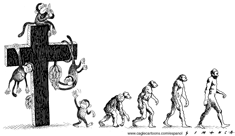 Evolution