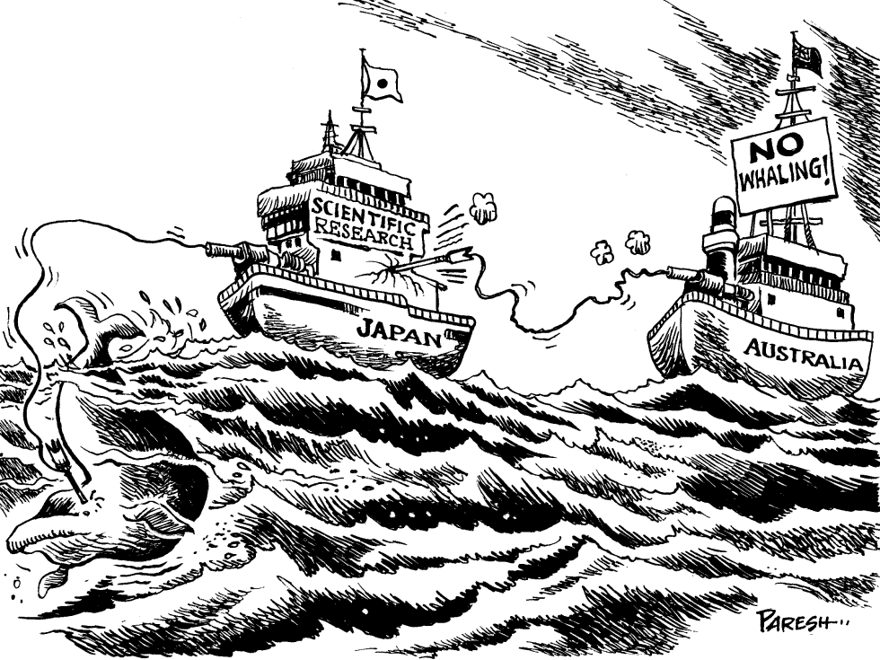 Australia-Japan row