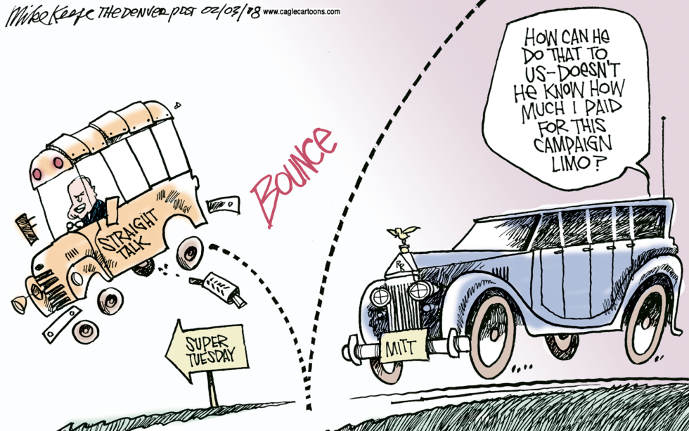 McCain Bounce COLOR
