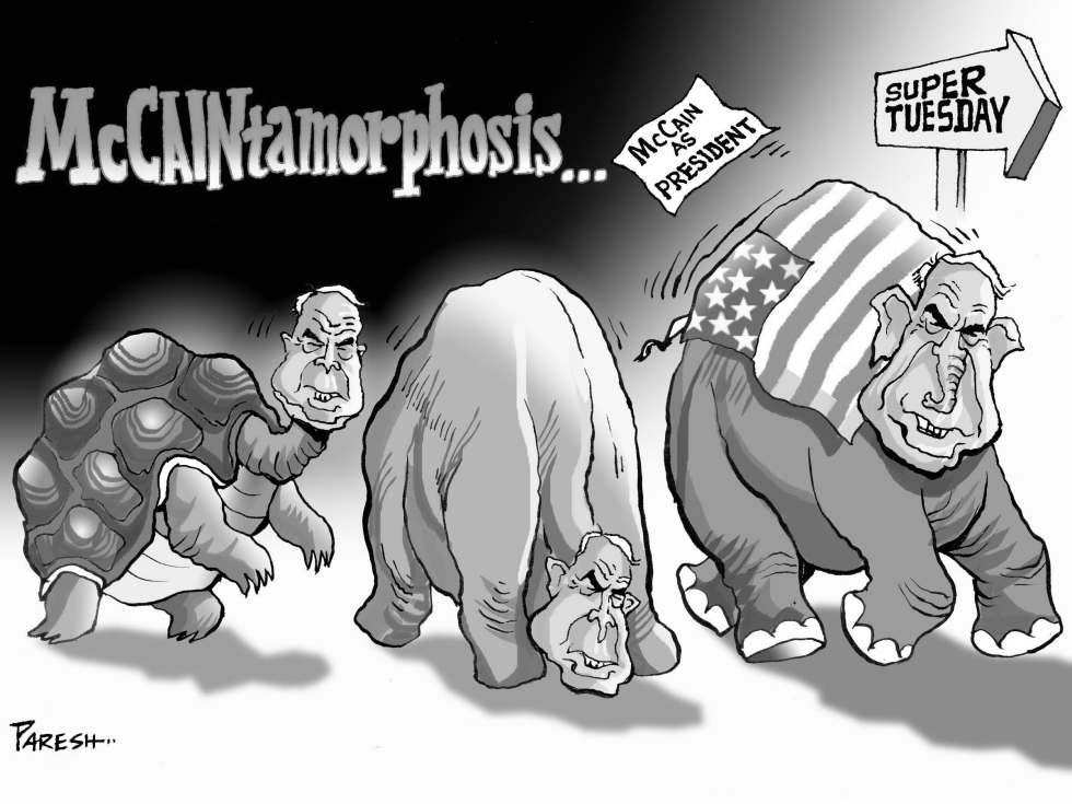  MCCAIN AS PRESIDENT by Paresh Nath