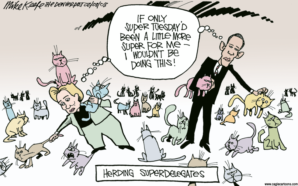  HERDING SUPERDELEGATES by Mike Keefe