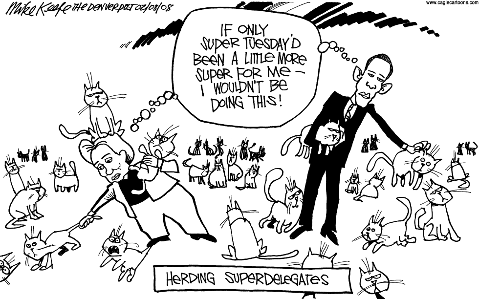 herding Superdelegates